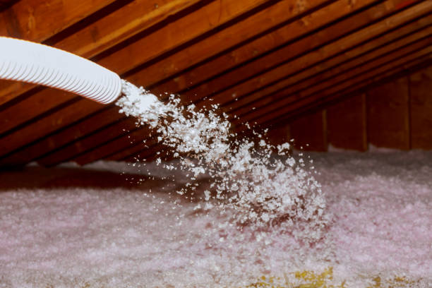 Best Home Insulation Services  in Cerro Gordo, IL