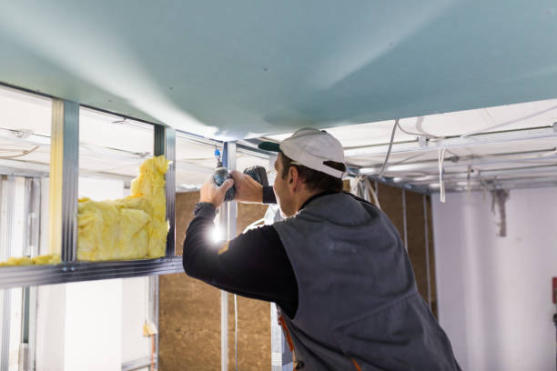 Insulation Inspection Services in Cerro Gordo, IL