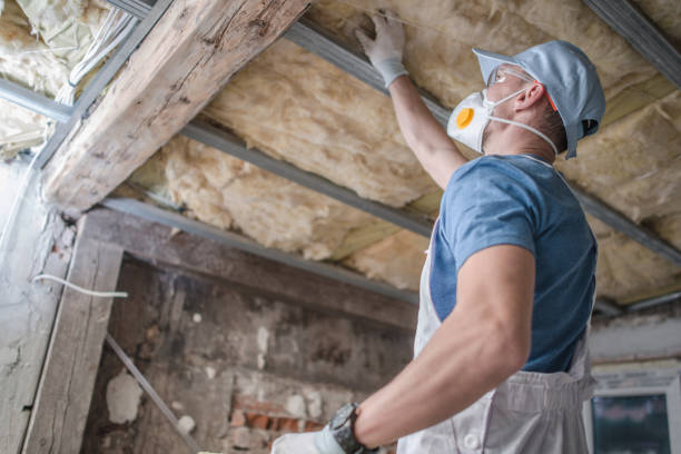 Best Spray Foam Insulation  in Cerro Gordo, IL