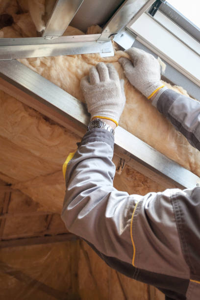 Best Energy-efficient Insulation  in Cerro Gordo, IL