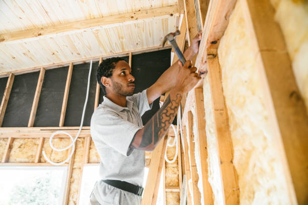 Best Attic Insulation Installation  in Cerro Gordo, IL