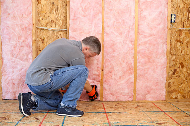 Best Cellulose Insulation  in Cerro Gordo, IL